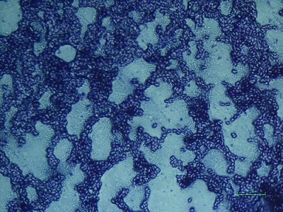 relevant article image goes here