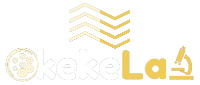 OkekeLab Logo